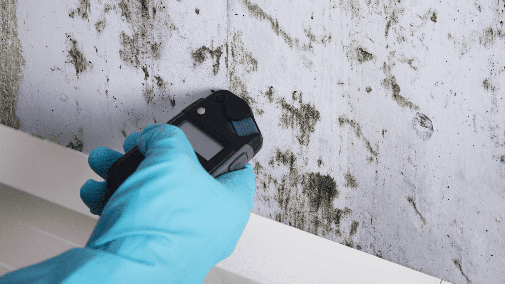 Mold Inspection Nassau County